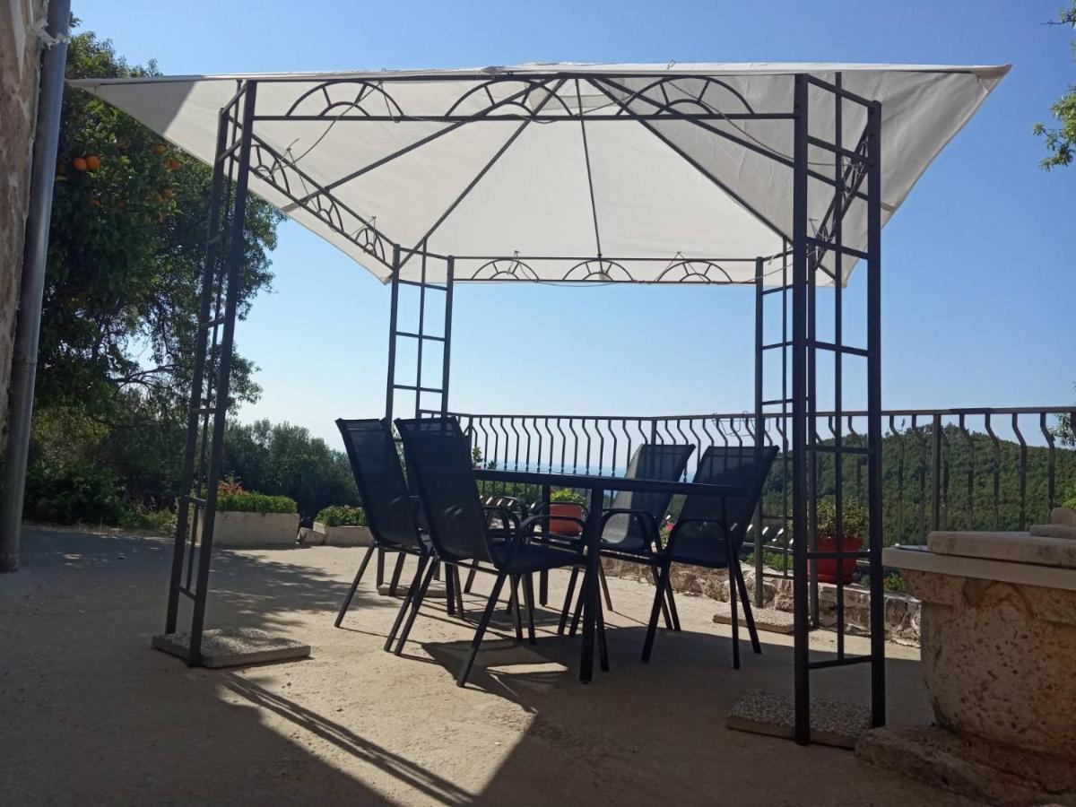 Holiday Apartments Maslina Paho Babino Polje Dış mekan fotoğraf