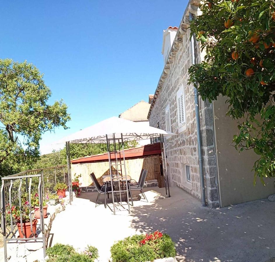 Holiday Apartments Maslina Paho Babino Polje Dış mekan fotoğraf