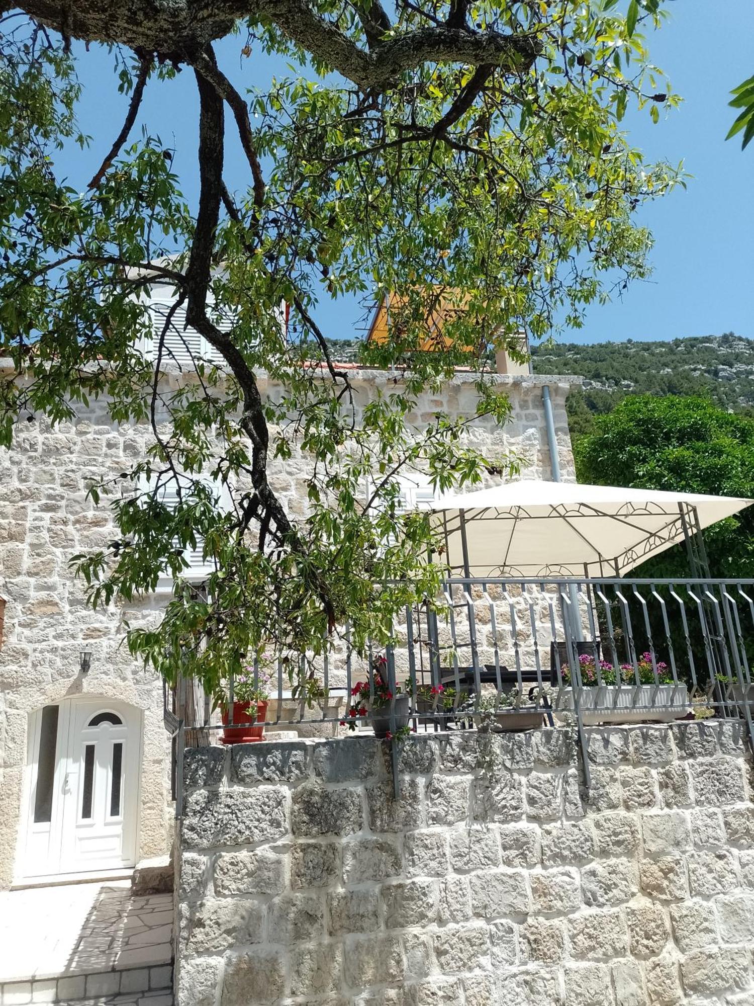 Holiday Apartments Maslina Paho Babino Polje Dış mekan fotoğraf