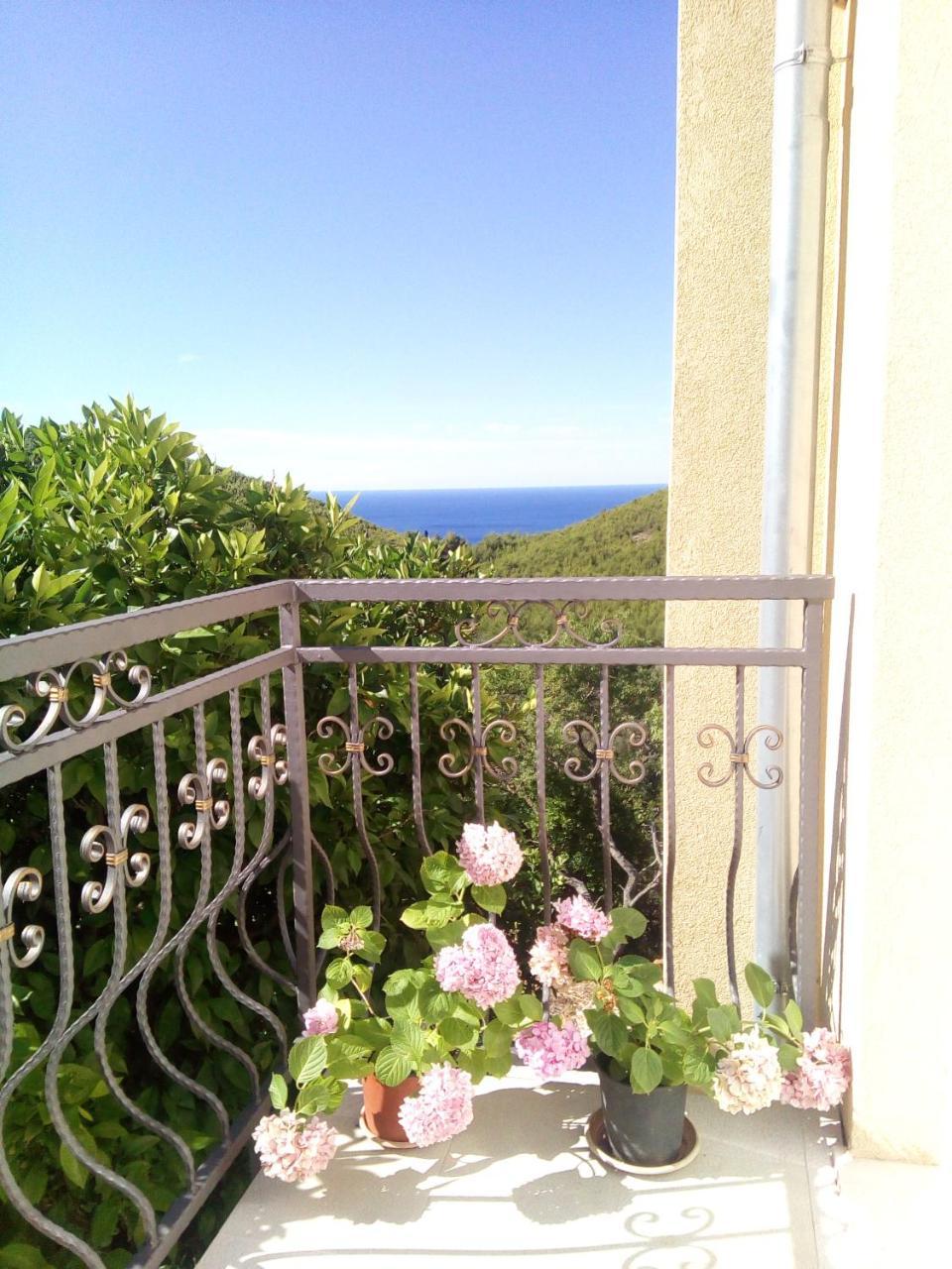 Holiday Apartments Maslina Paho Babino Polje Dış mekan fotoğraf