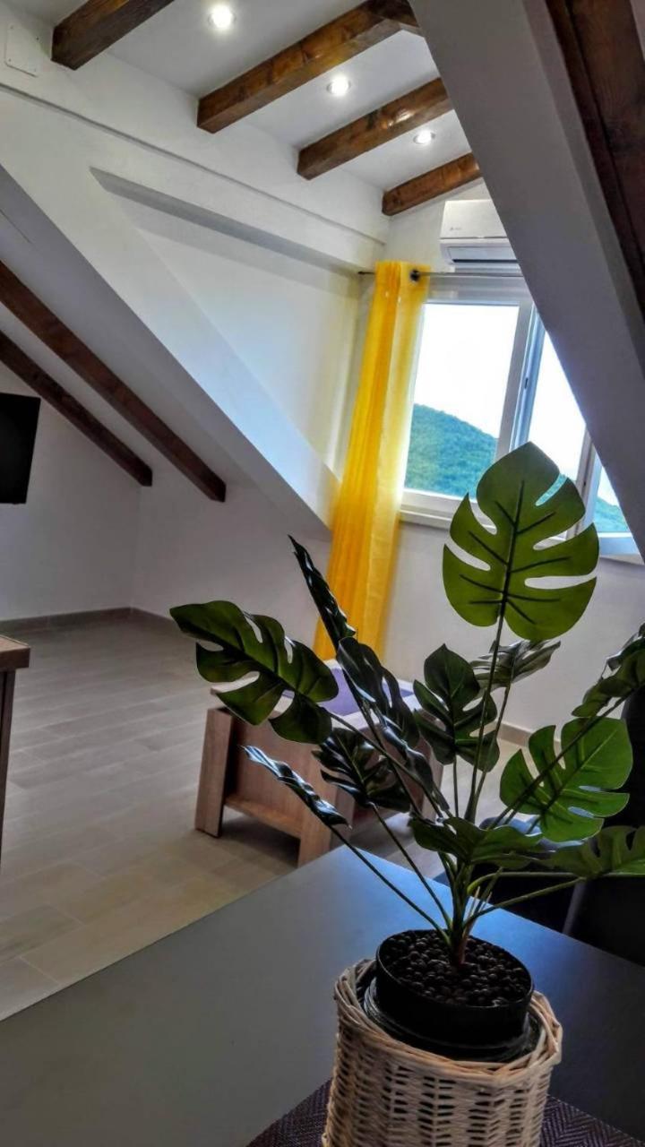 Holiday Apartments Maslina Paho Babino Polje Dış mekan fotoğraf